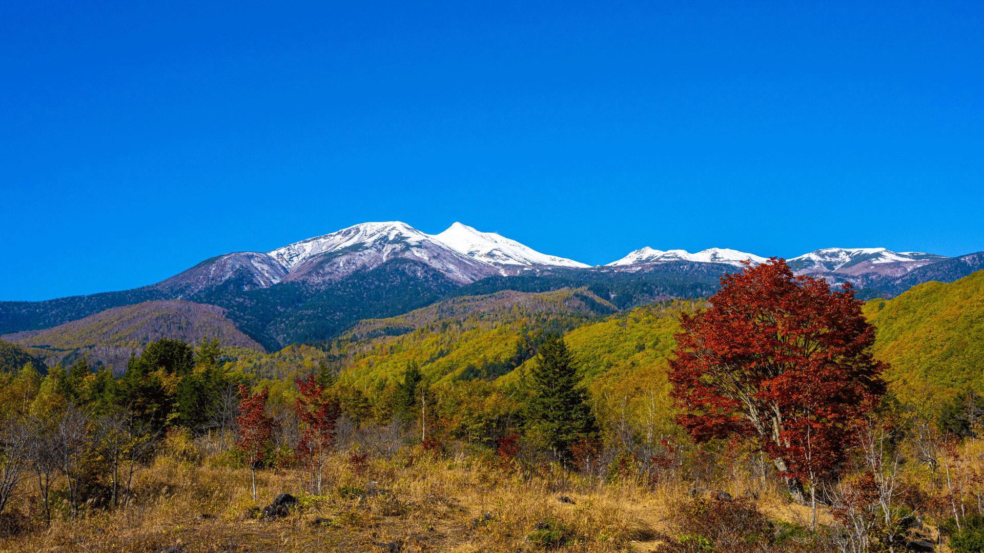 八ヶ岳